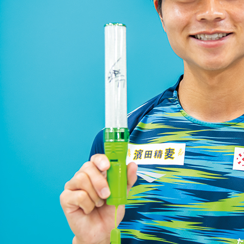 湘南ベルマーレ ペンライト